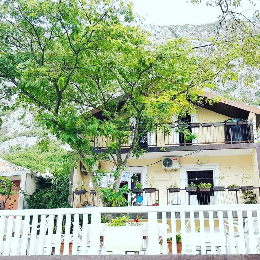 קוטור Montenegro Apartmant'S מראה חיצוני תמונה
