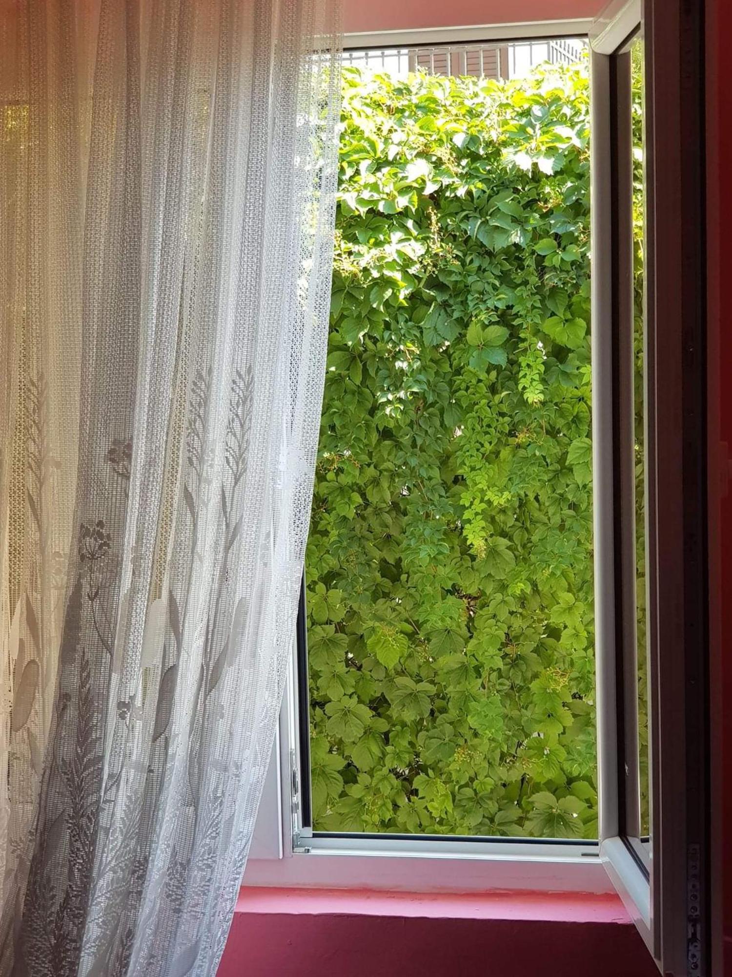 קוטור Montenegro Apartmant'S חדר תמונה