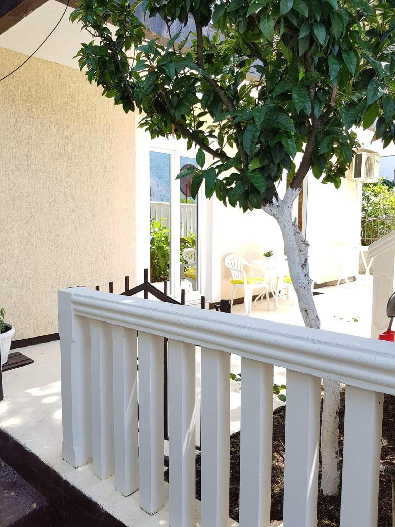 קוטור Montenegro Apartmant'S חדר תמונה
